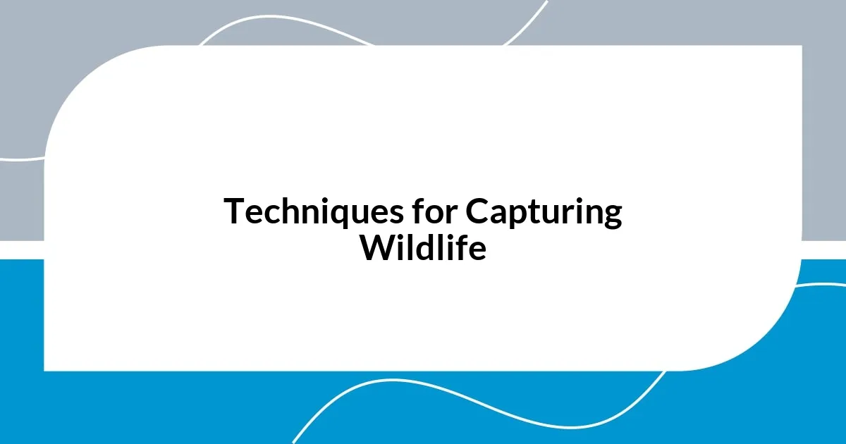 Techniques for Capturing Wildlife