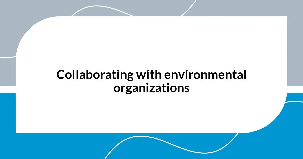 Collaborating with environmental organizations