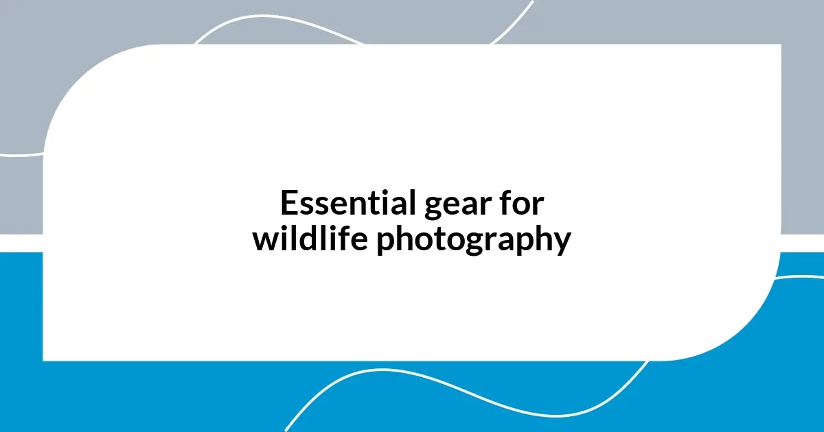 Essential gear for wildlife photography