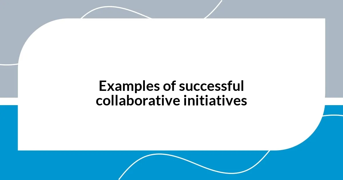 Examples of successful collaborative initiatives