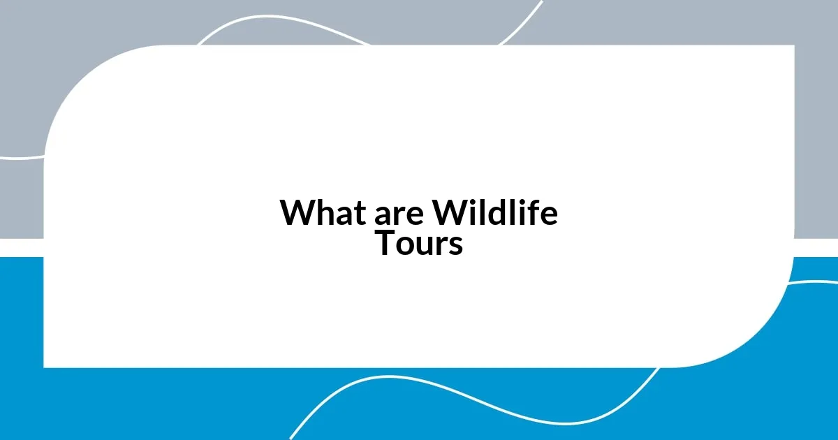 What are Wildlife Tours