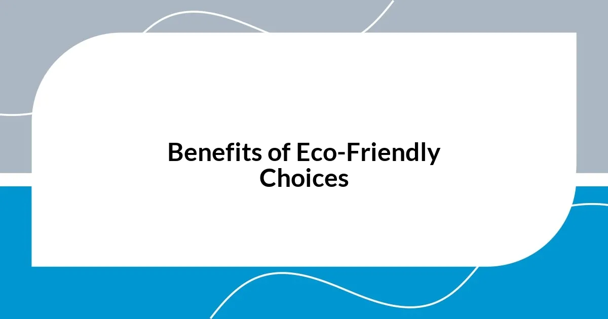 Benefits of Eco-Friendly Choices